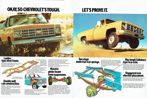 1978 Chevrolet Light Trucks (Aus)-06-07.jpg